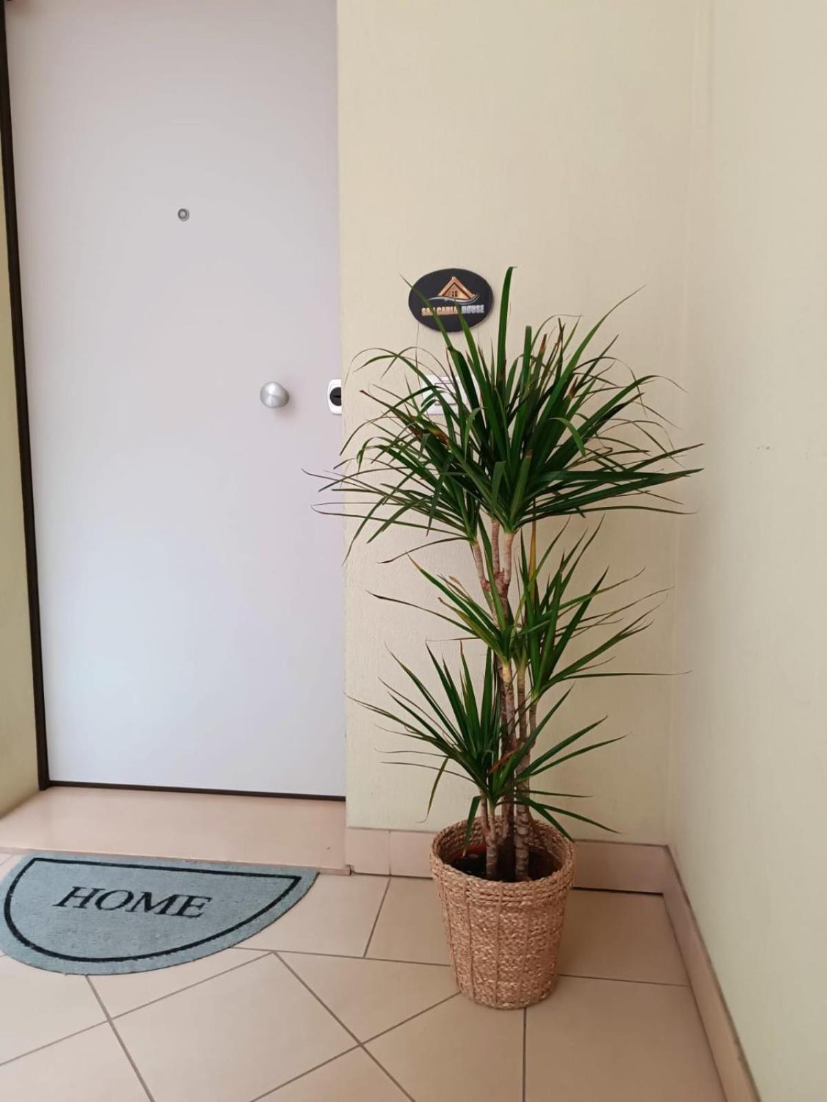 San Carlo House Apartment Castel Guelfo Di Bologna Bagian luar foto